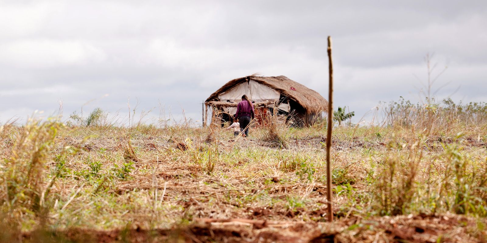 Brasil registra aumento em conflitos no campo no primeiro semestre, aponta CPT