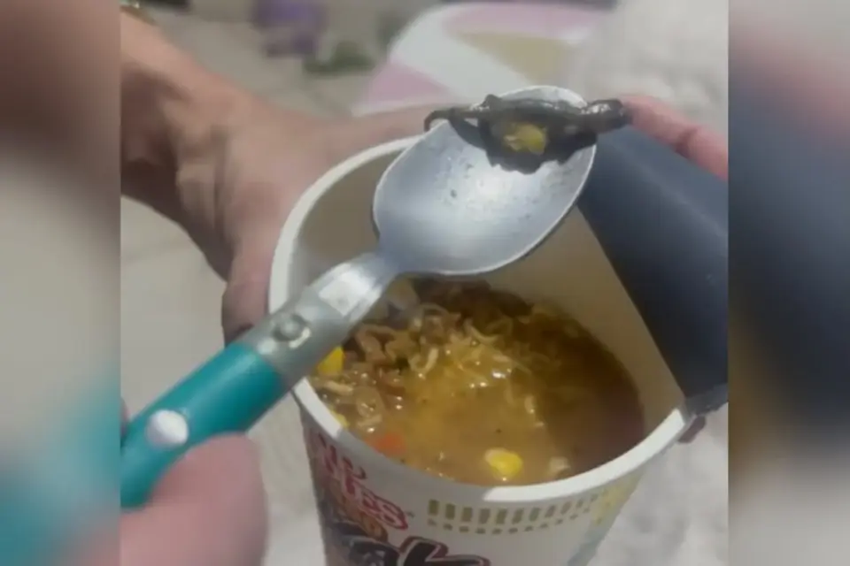 Indenização após cliente achar animal em macarrão instantâneo em Goiás