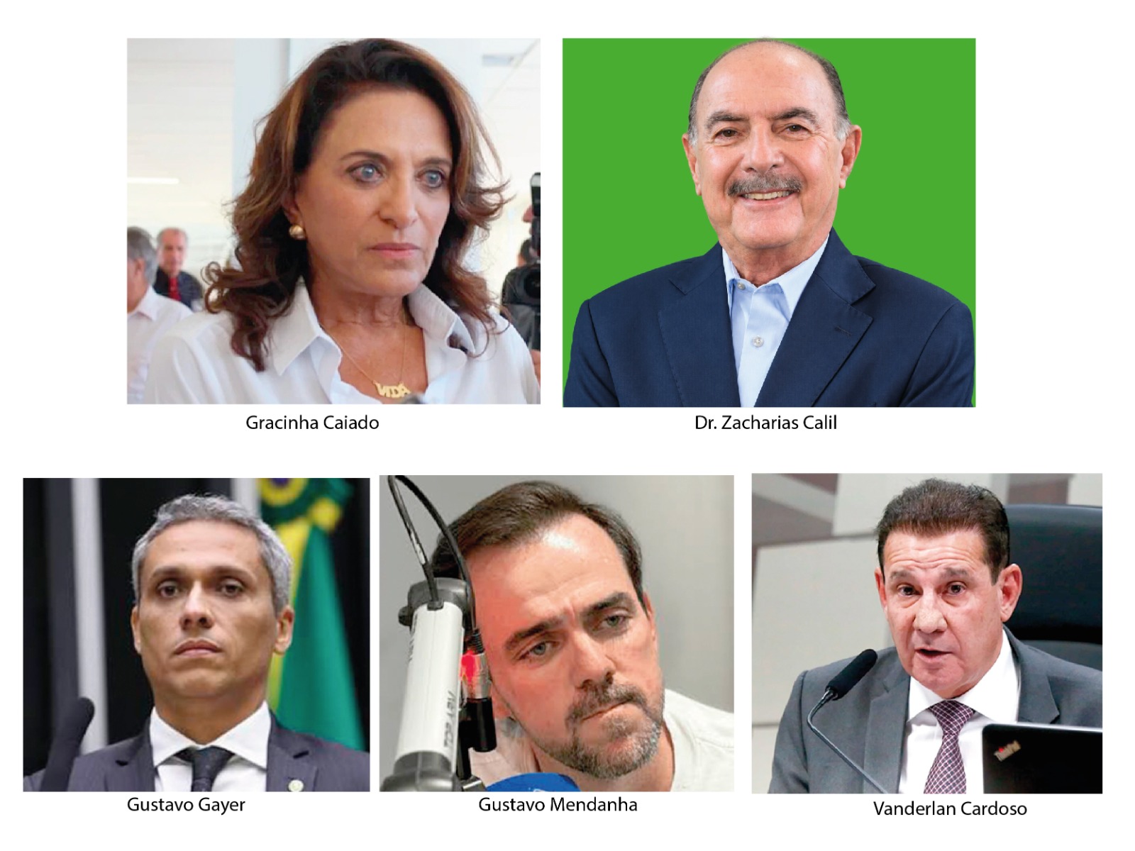 Como os diferentes perfis desenham a eleição para o Senado em Goiás
