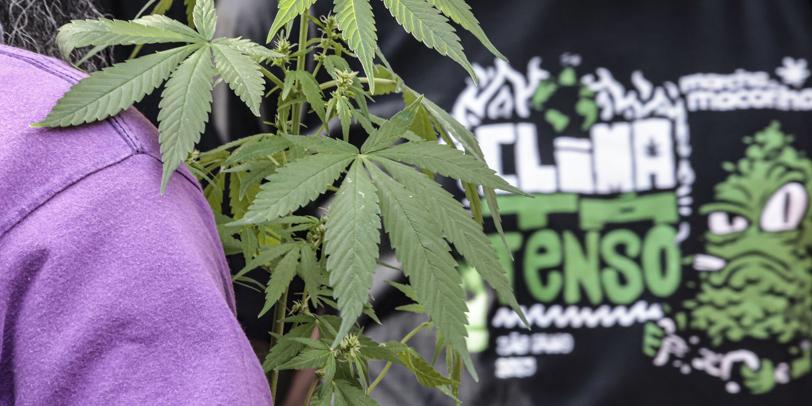 Prisão preventiva por drogas supera a média de outros crimes, revela CNJ