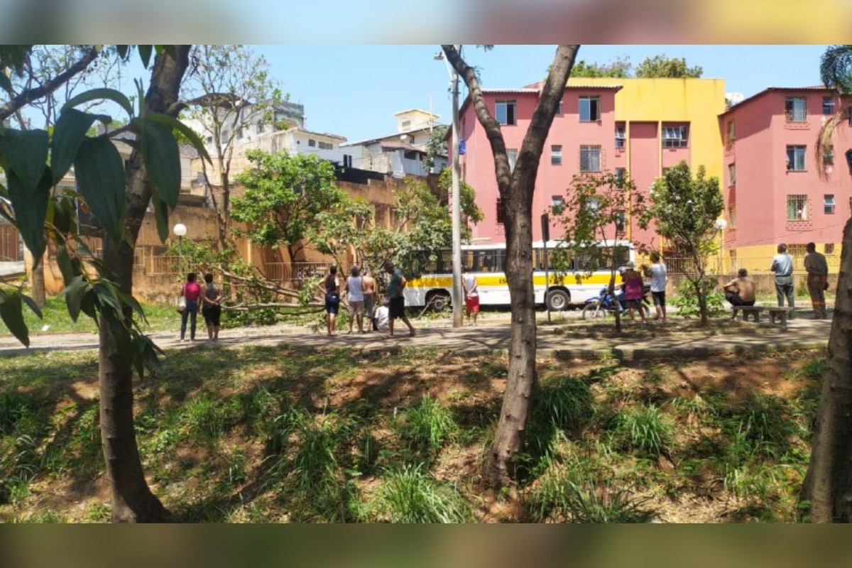 Ônibus escolar bate em poste e deixa duas crianças feridas em Belo Horizonte