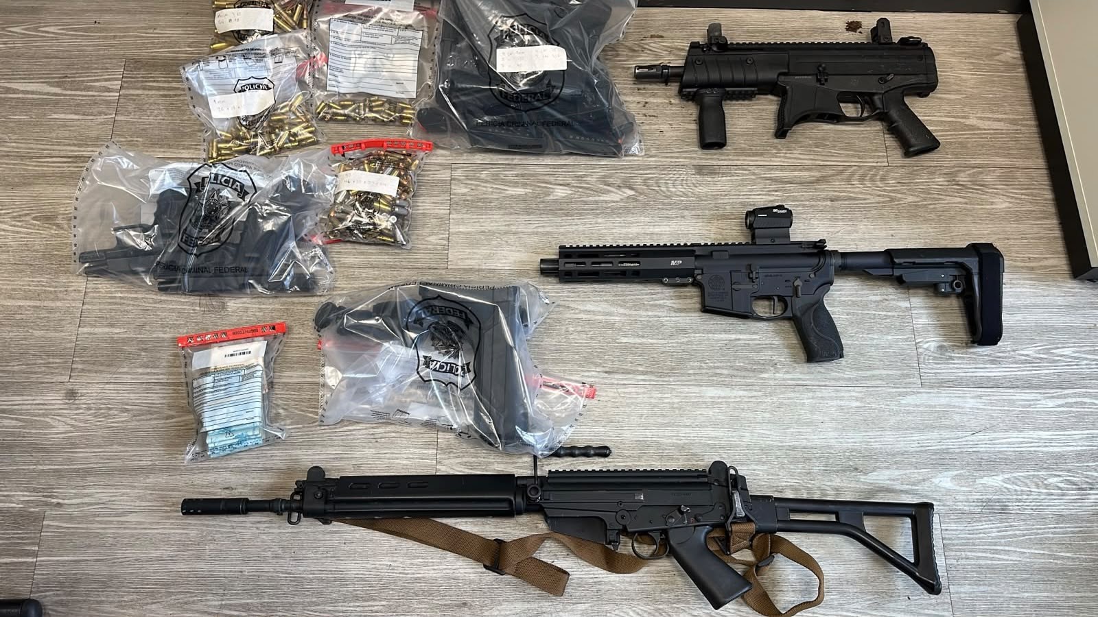 Operação Unha e Carne: Polícia Federal prende vereador do Rio com fuzis