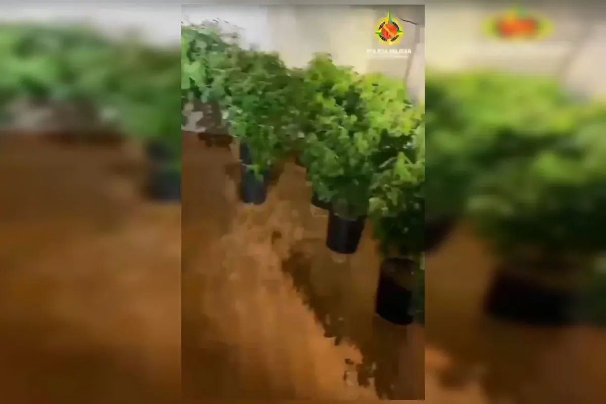 Polícia Militar desarticula laboratório e apreende drogas no Distrito Federal