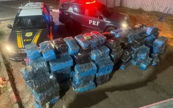 PRF realiza maior apreensão de skunk do ano em rodovia de Goiás