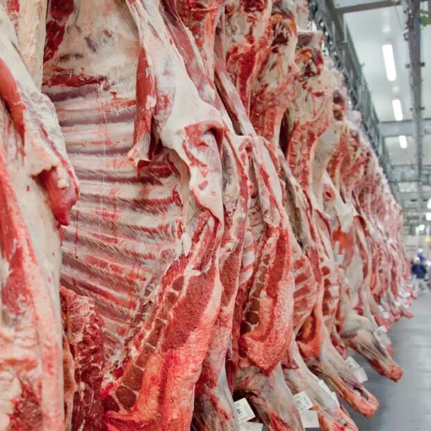 Carne bovina do brasil pode ficar fora da união europeia por dois anos