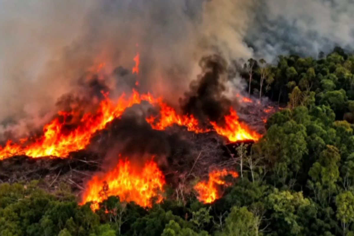 Governo reforça combate a incêndios no Amazonas com novas aeronaves