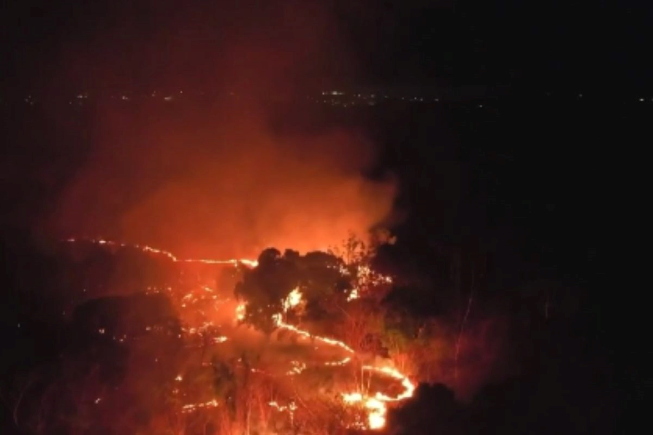 Incêndio em área da Embrapa mobiliza Exército e bombeiros em Teresina