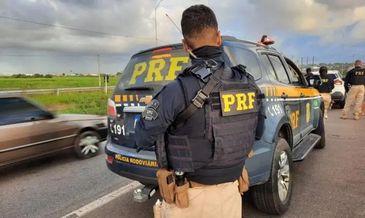 Aves silvestres são resgatadas pela PRF no porta-malas em Goiás