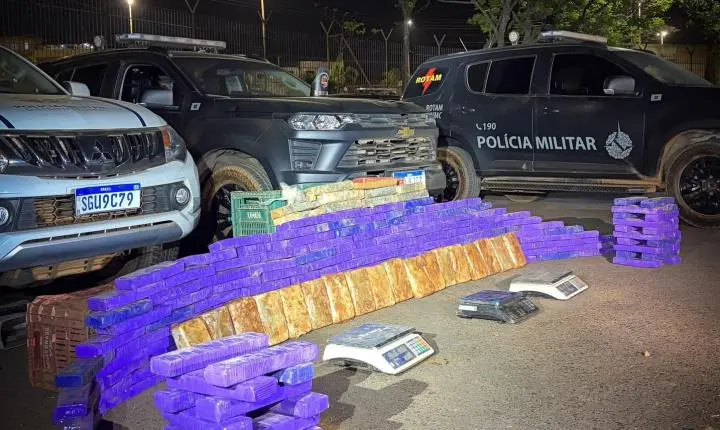 Apreensão de drogas em baia de cavalos gera prejuízo de R$ 650 mil no DF