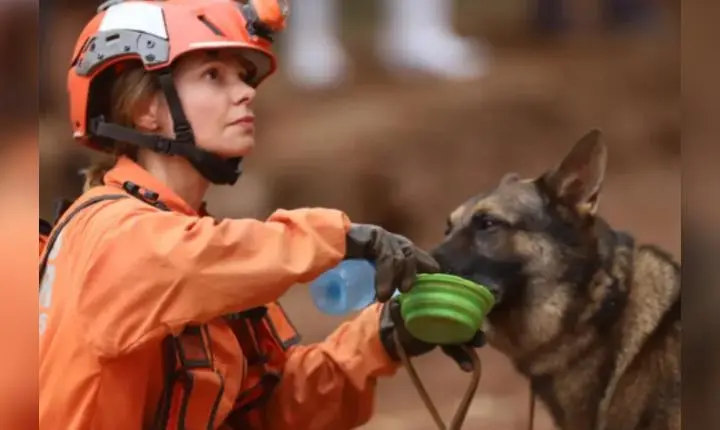 Bombeira e cão de busca K9 retornam ao Brasil após missão humanitária na Venezuela