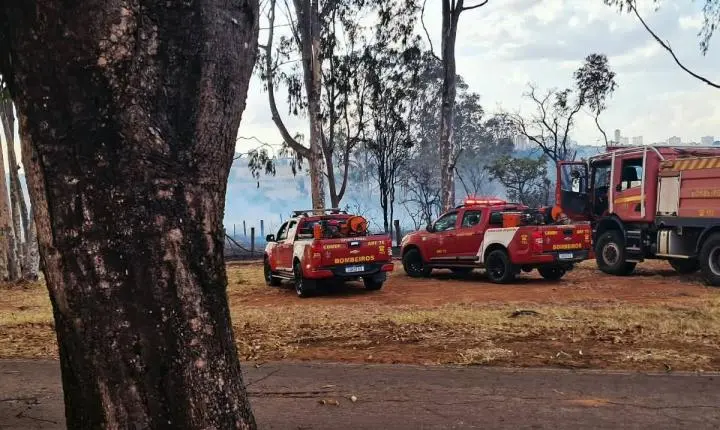 Incêndio em vegetação mobiliza bombeiros em dezenas de chamados no DF