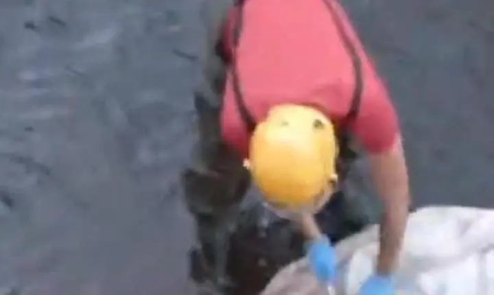 Corpo de bombeiros encontra cachorro morto em córrego de Jataí
