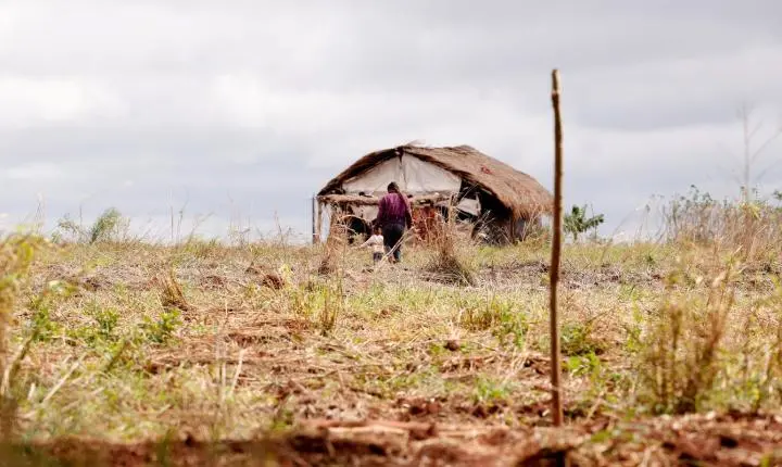 Brasil registra aumento em conflitos no campo no primeiro semestre, aponta CPT