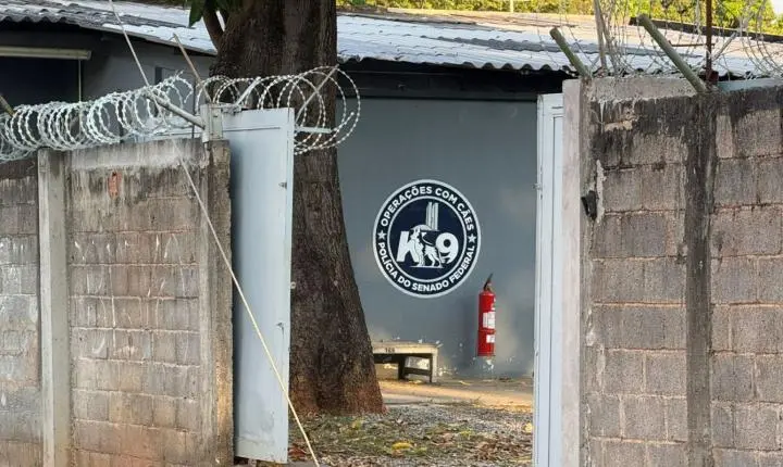 Canil do Senado é fechado por tempo indeterminado após morte de veterinária