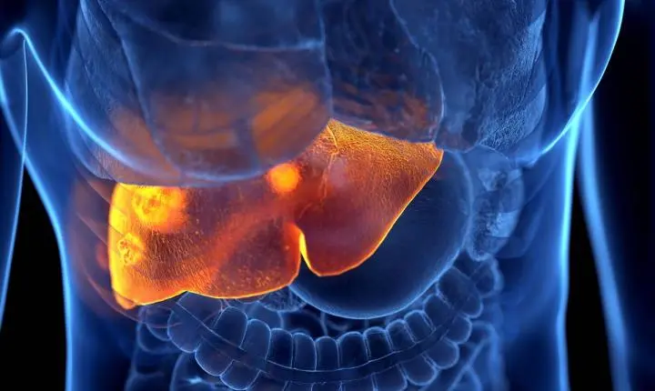Surto de hepatite A em São Paulo: entenda a relação com o saneamento