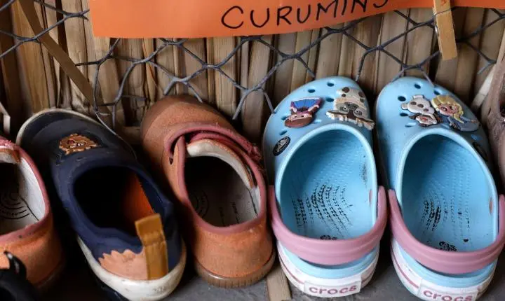 Censo escolar revela que apenas 17% das creches e pré-escolas públicas possuem infraestrutura completa