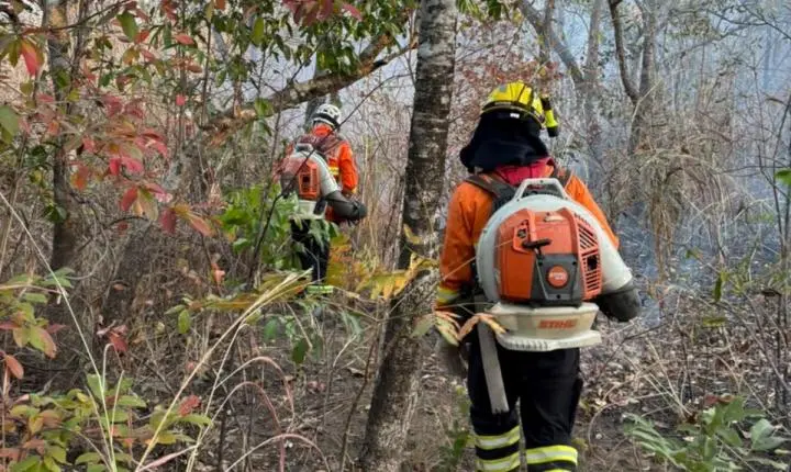 Incêndio na Chapada dos Veadeiros avança e já destrói 1,8 mil hectares