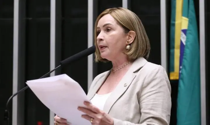 Criação do 