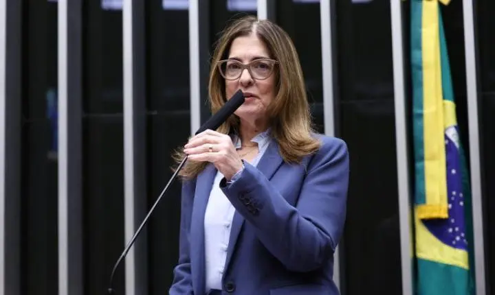 Comissão aprova política Reintegra Brasil para amparar brasileiros repatriados e deportados