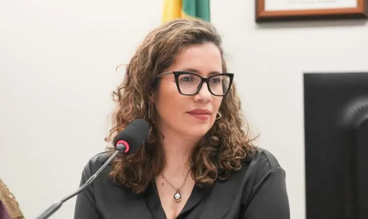 Comissão de Cultura da Câmara veta incentivo público a obras que promovam violência contra a mulher