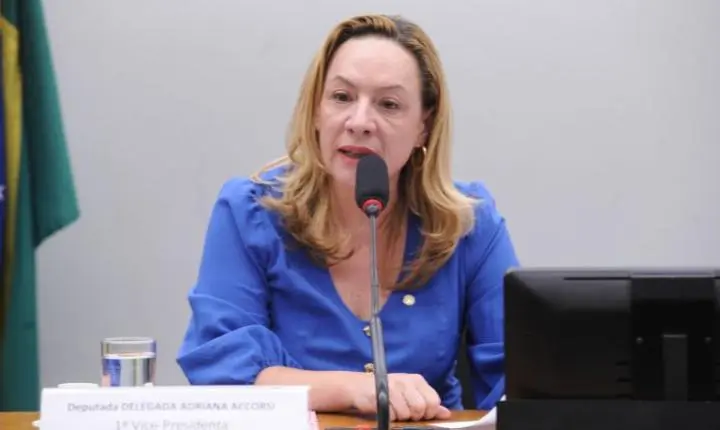 Comissão da Câmara aprova afastamento imediato de agressores de crianças