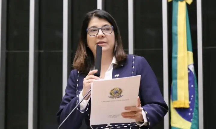 A Câmara dos Deputados debate assistência consular e proteção de brasileiros no exterior em audiência sobre tráfico de pessoas