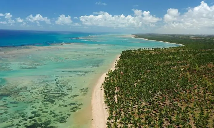 Costa dos Corais: preservação ambiental e turismo de experiência no litoral de Alagoas