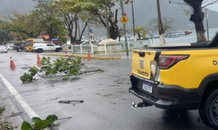 Previsão do tempo em São Paulo indica estabilidade após ventania devastadora