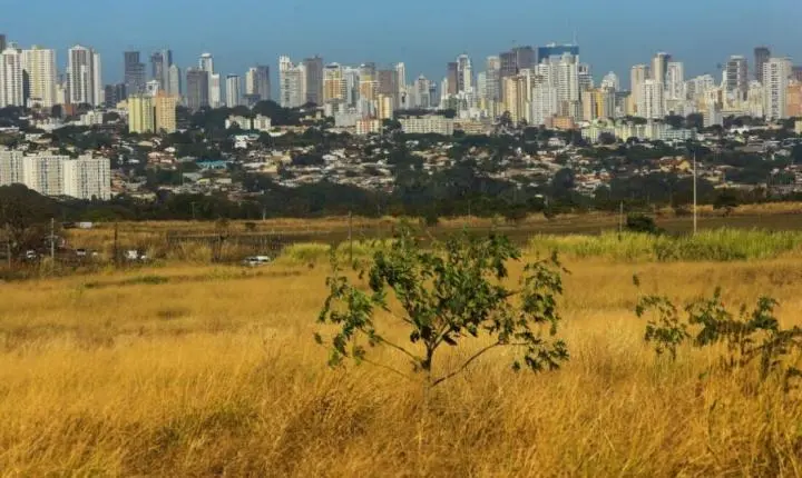 El Niño no Centro-Oeste deve intensificar seca e risco de queimadas