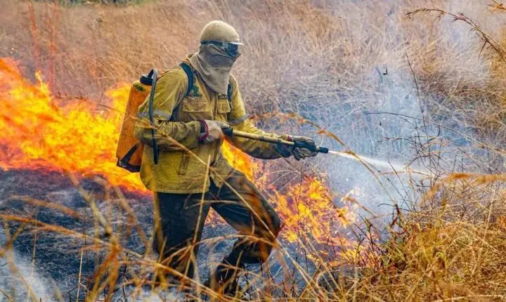 Goiás reduz em 50% queimadas e lança tecnologia contra incêndios florestais