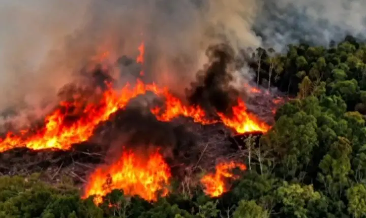 Governo reforça combate a incêndios no Amazonas com novas aeronaves