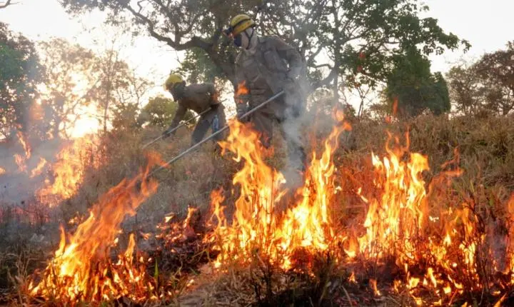 Governo de Goiás reforça prevenção a incêndios e proíbe uso do fogo