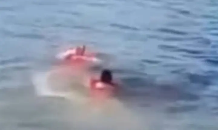Corpo de homem de 65 anos é encontrado na Lagoa da Pampulha, em Belo Horizonte