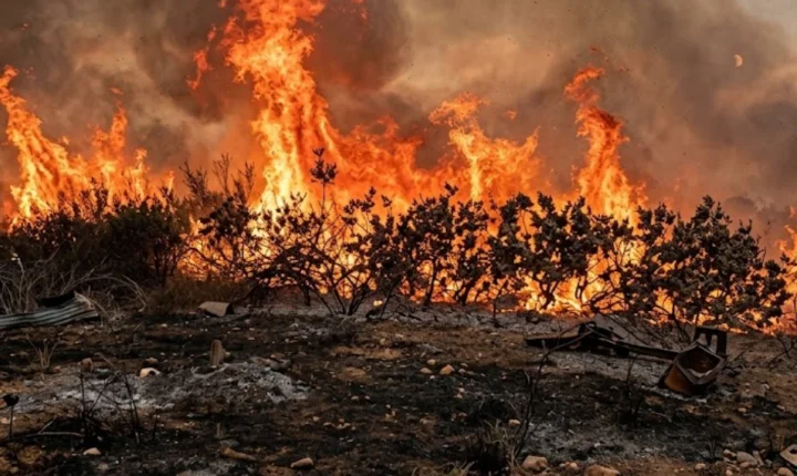 Incêndio em Anápolis atinge galpão de reciclagem e mobiliza bombeiros