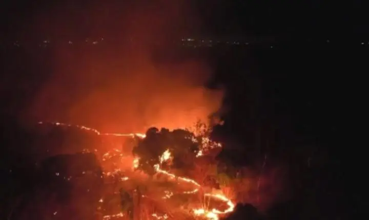 Incêndio em área da Embrapa mobiliza Exército e bombeiros em Teresina