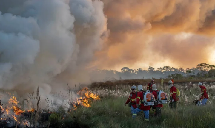 Incêndio florestal devasta mais de 10 mil hectares no Nordeste de Goiás