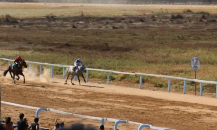 Jóquei Clube recupera carta-patente e viabiliza retorno de corridas de cavalos
