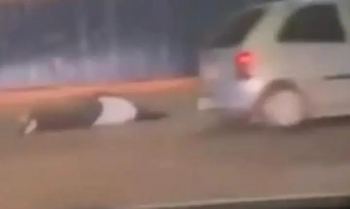 Motorista alcoolizado atropela mulher e foge após acidente em Novo Gama