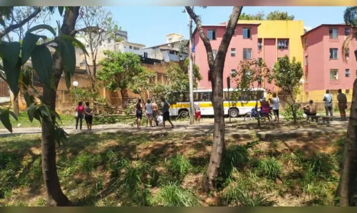 Ônibus escolar bate em poste e deixa duas crianças feridas em Belo Horizonte