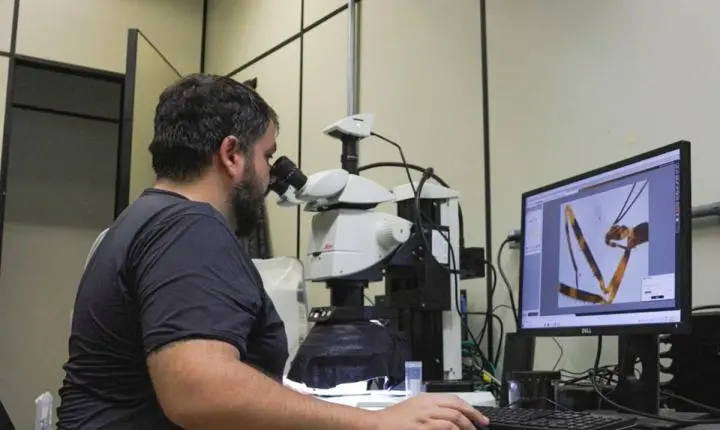 Pesquisador da Unesp identifica primeiro inseto barbeiro vivo na Europa