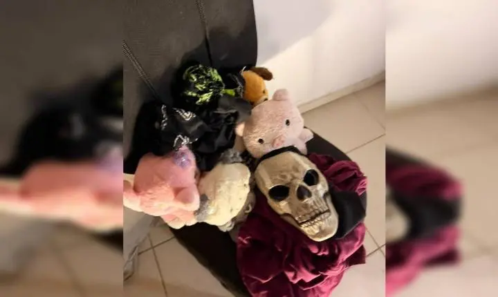 Homem de 23 anos é preso por praticar violência sexual virtual em SC