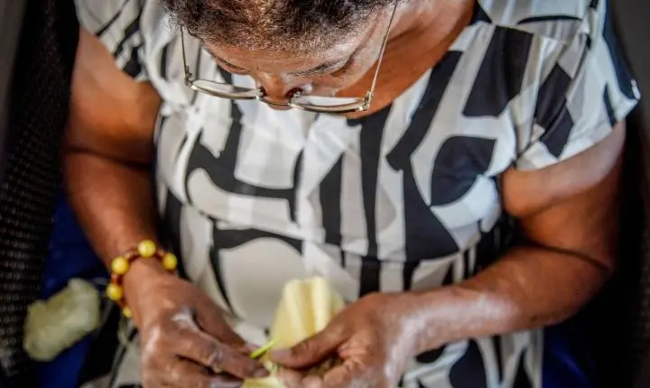 Programa de atenção domiciliar aprimora cuidado para idosos no Brasil