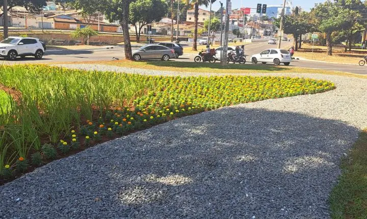 Projeto Florescer revitaliza rotatória do Cepal e expande o paisagismo em Goiânia
