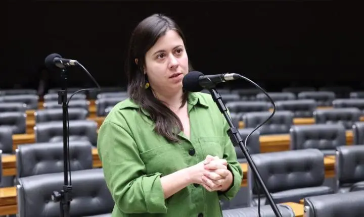 Projeto na Câmara dos Deputados visa proibir acesso a armas de fogo para quem possui medidas protetivas