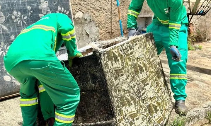 Goiânia facilita descarte: saiba como solicitar coleta gratuita de móveis