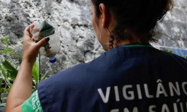 Casos de dengue em São Paulo passam de 58 mil e acendem alerta