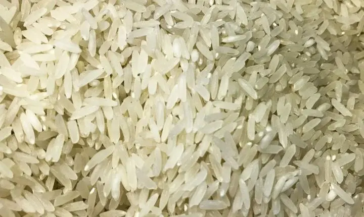 Brasil aprova doação de arroz à Colômbia após forte terremoto