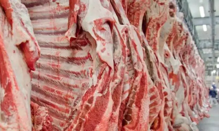 Carne bovina do brasil pode ficar fora da união europeia por dois anos